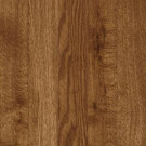 Bruce Abbington Gunstock Solid Hardwood Flooring - 5 in. x 7 in. Take Home Sample