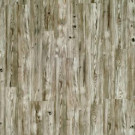 Pergo Grey Yew Laminate Flooring - 5 in. x 7 in. Take Home Sample